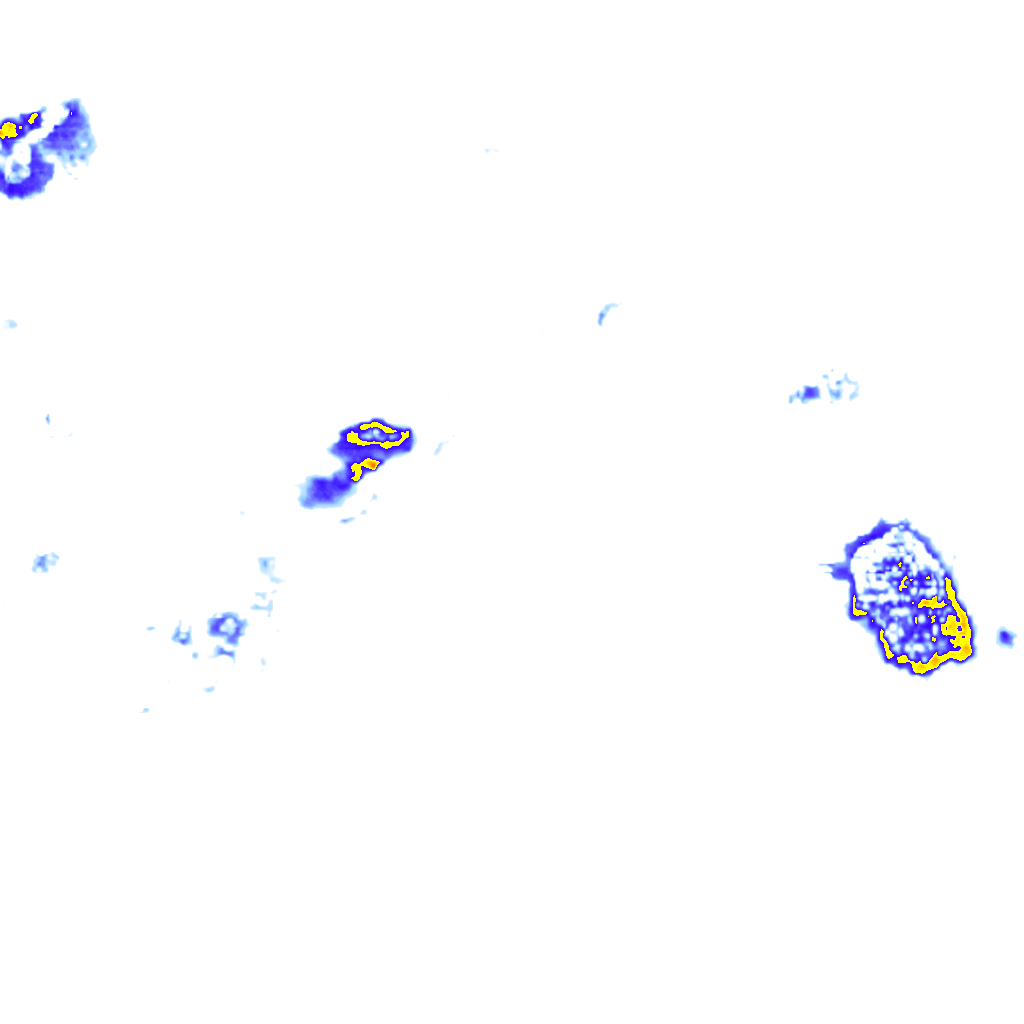 Image Layer