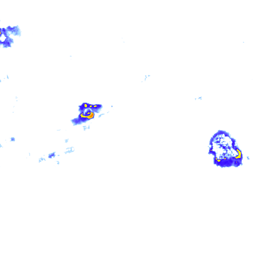 rainLayer