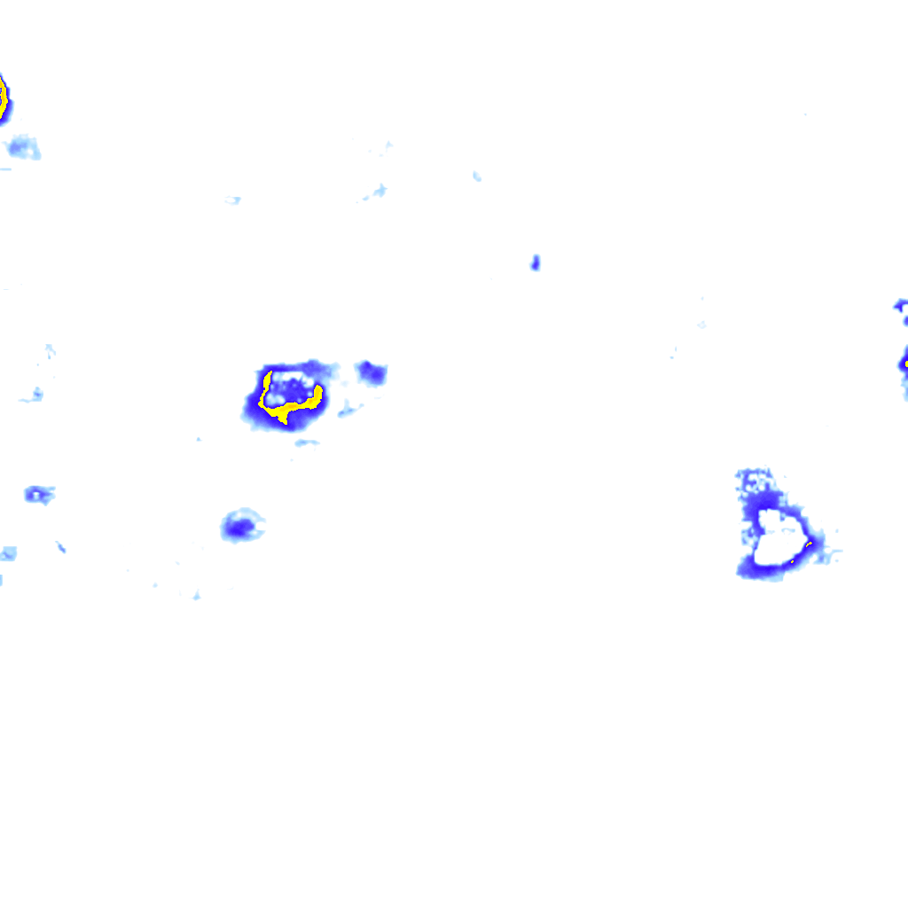 Image Layer