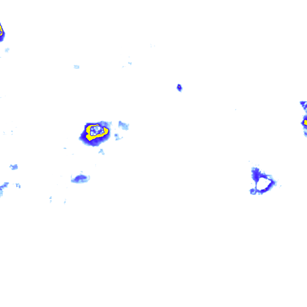 Image Layer