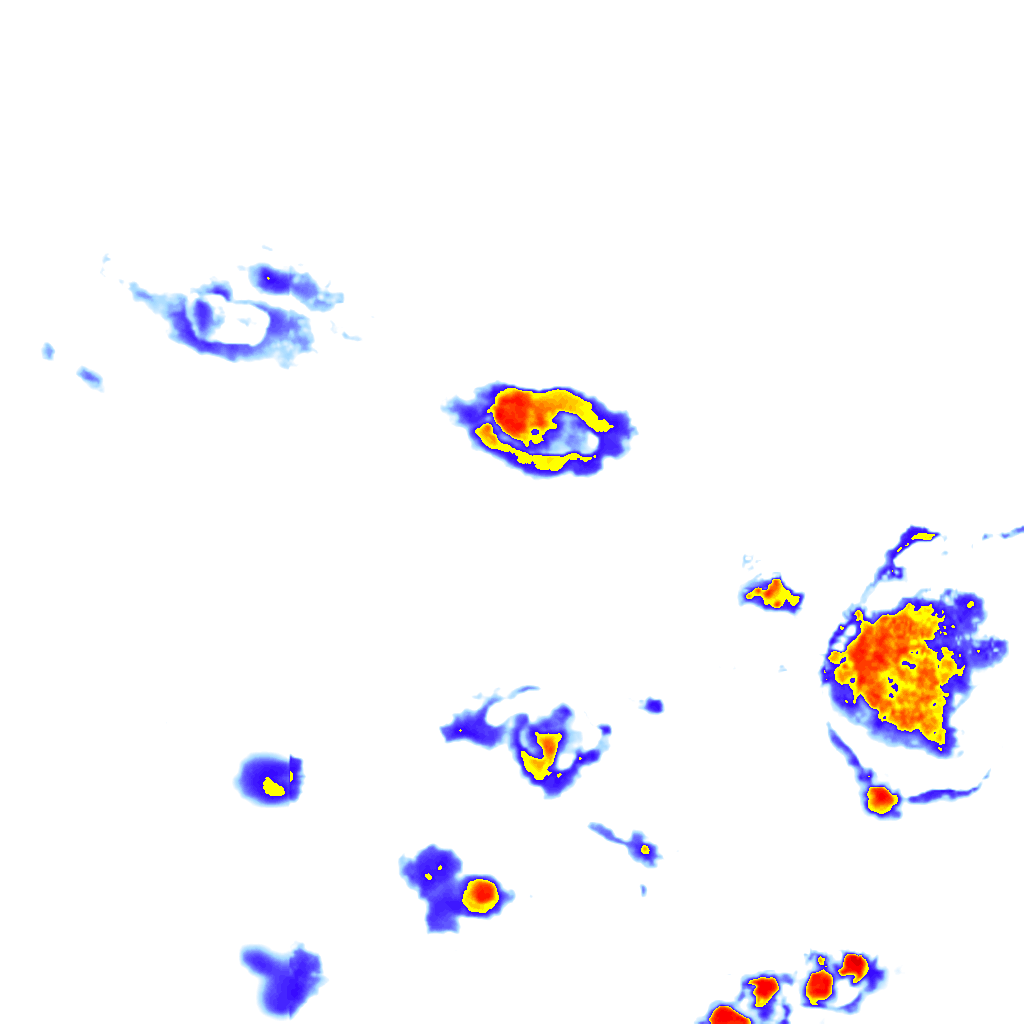 Image Layer