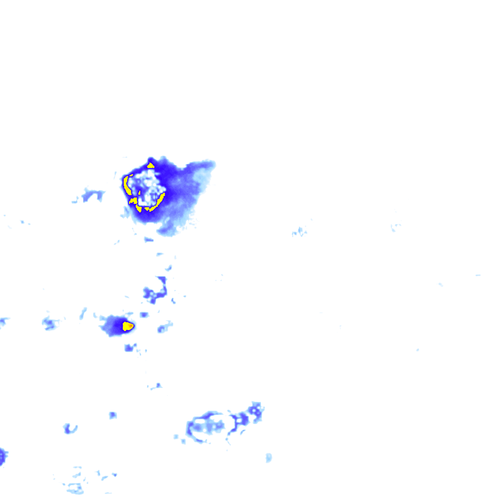 rainLayer