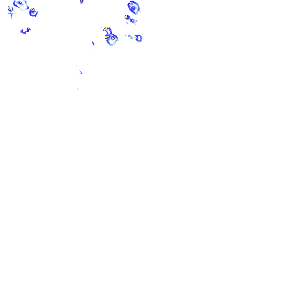rainLayer