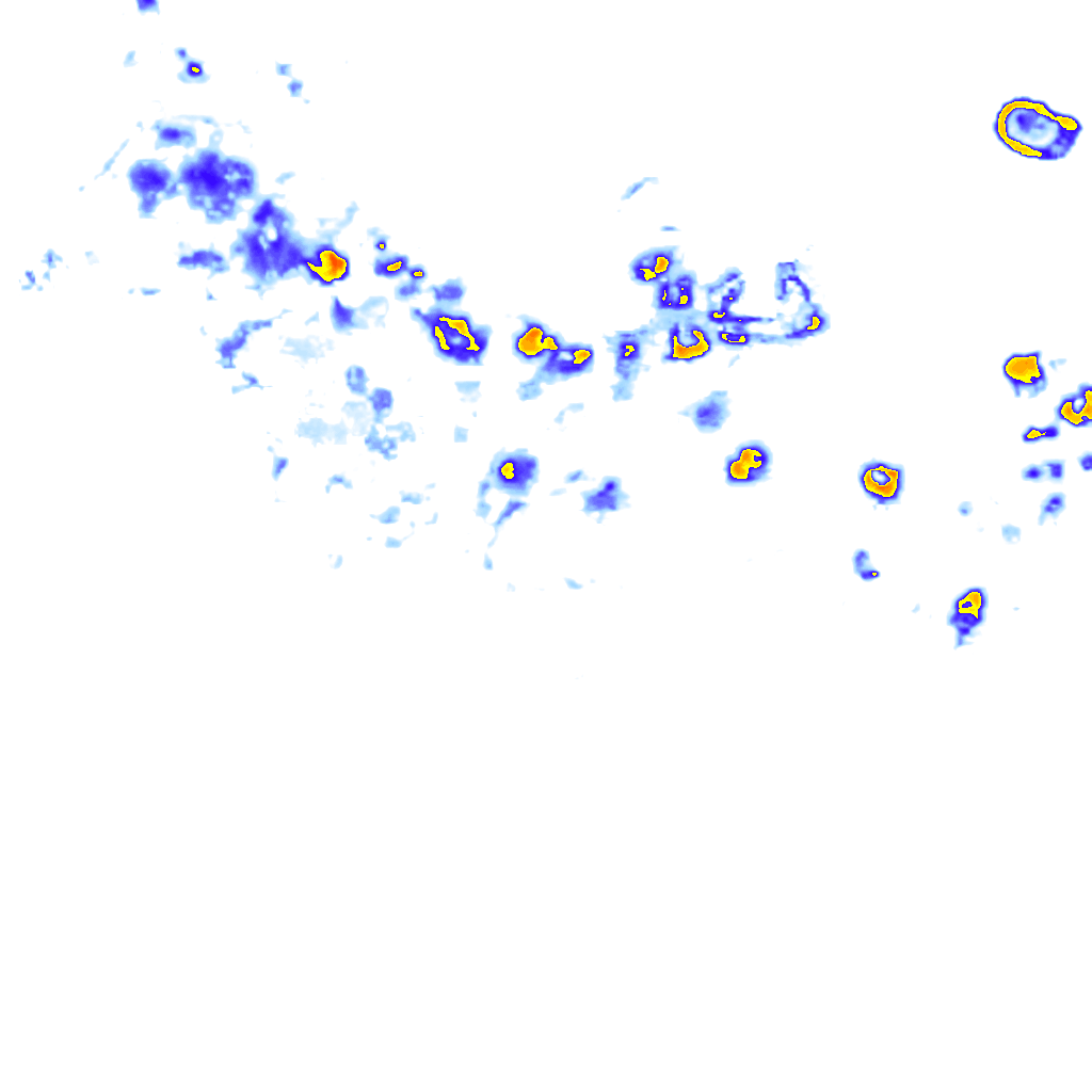 rainLayer