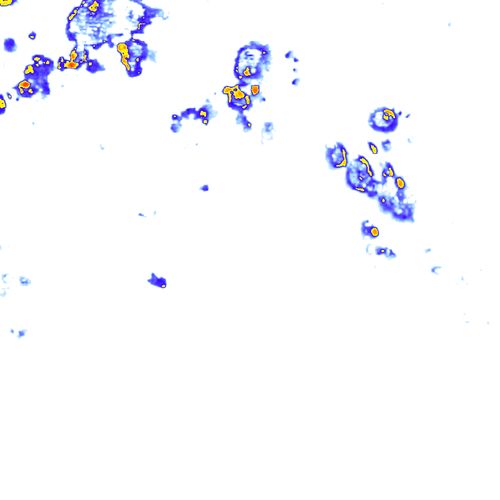 Image Layer