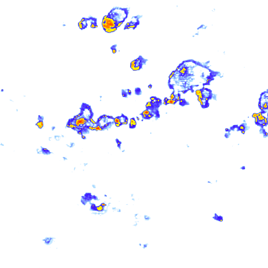 Image Layer
