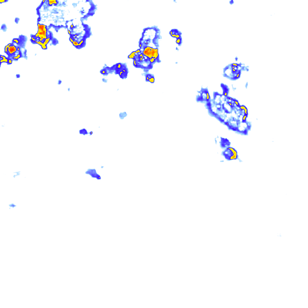 Image Layer