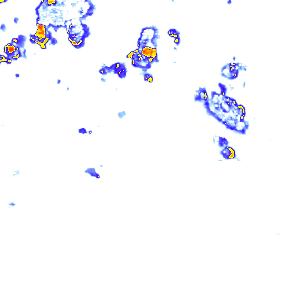 rainLayer
