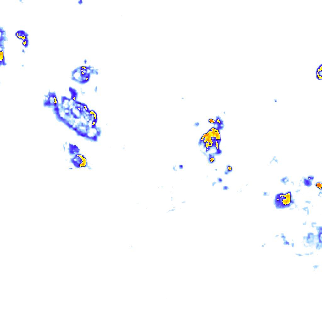 Image Layer