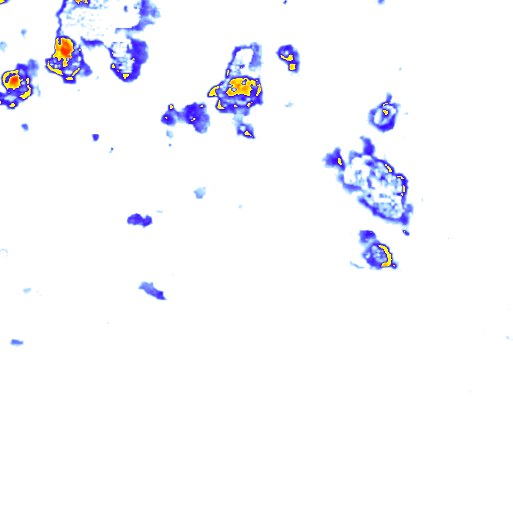 Image Layer