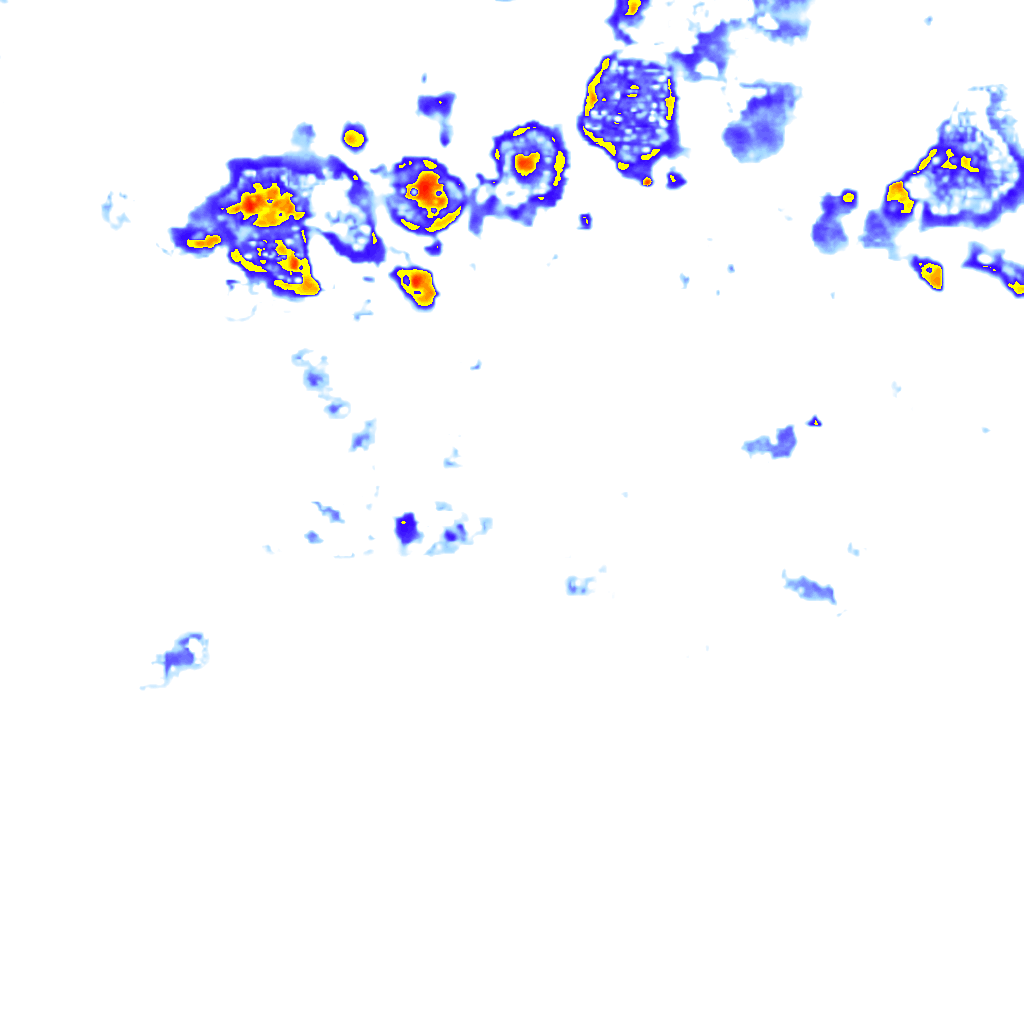 Image Layer