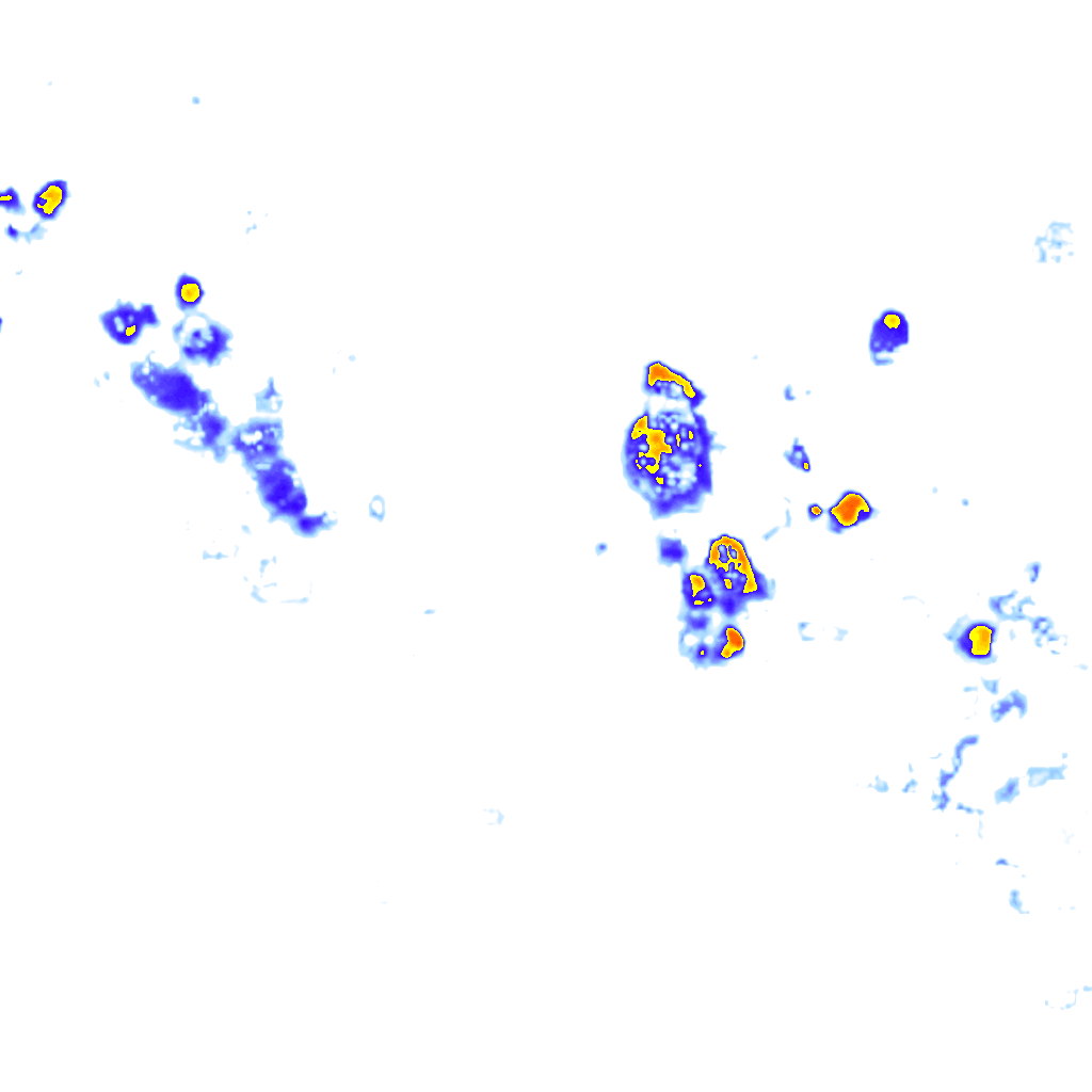 Image Layer