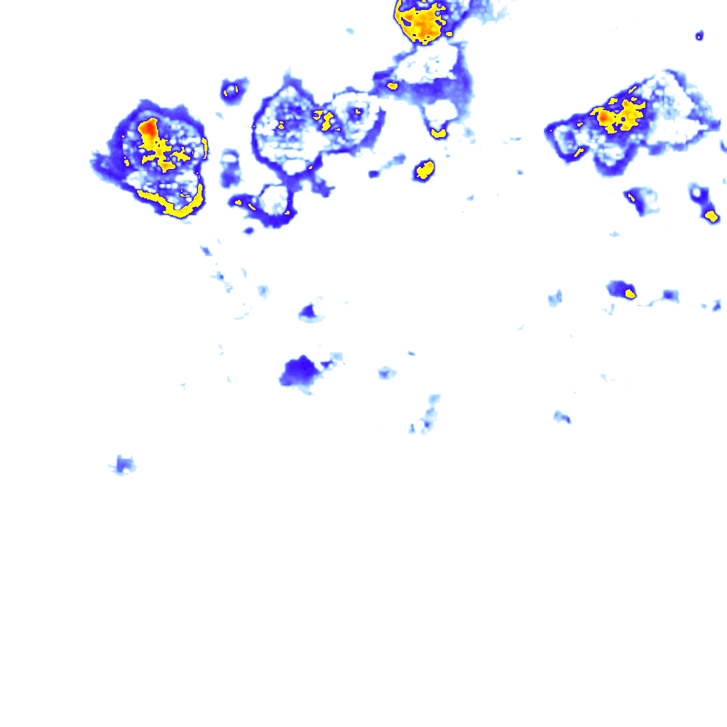 Image Layer