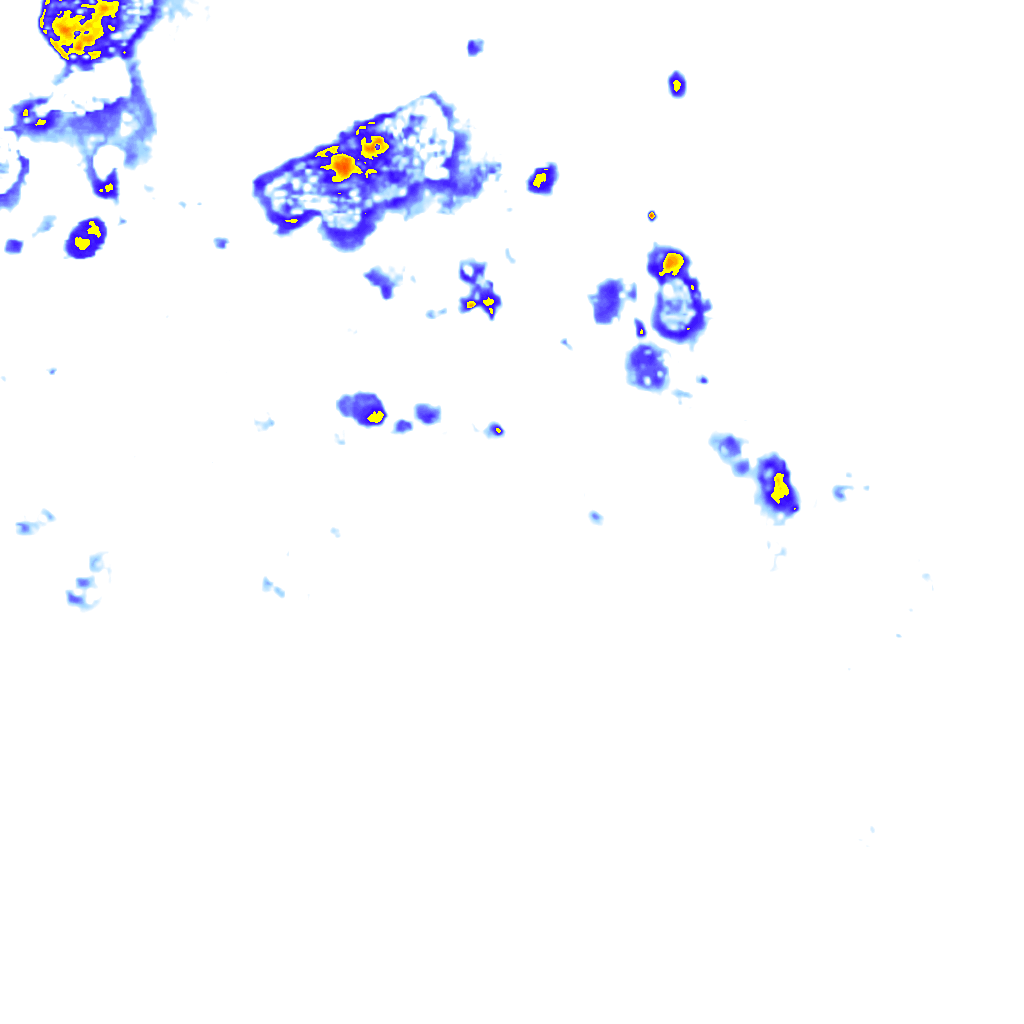 Image Layer