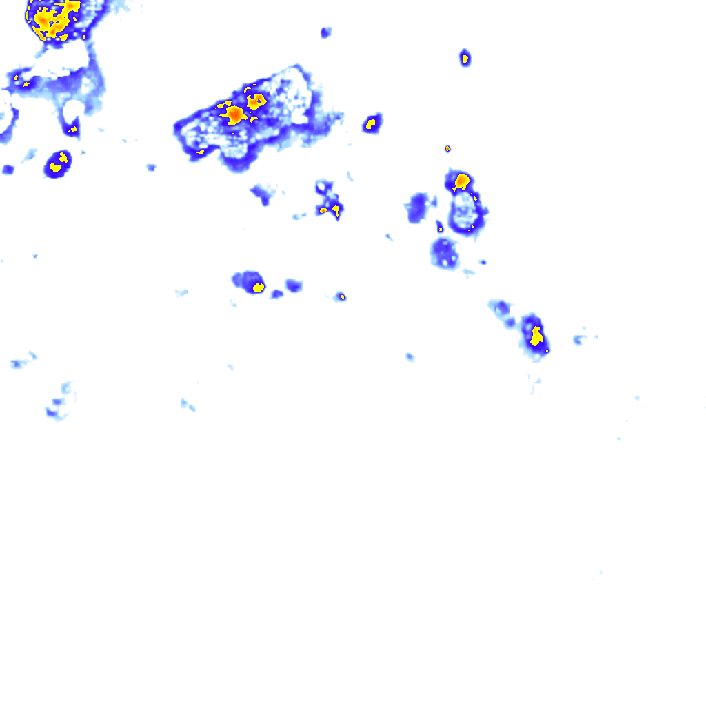 rainLayer