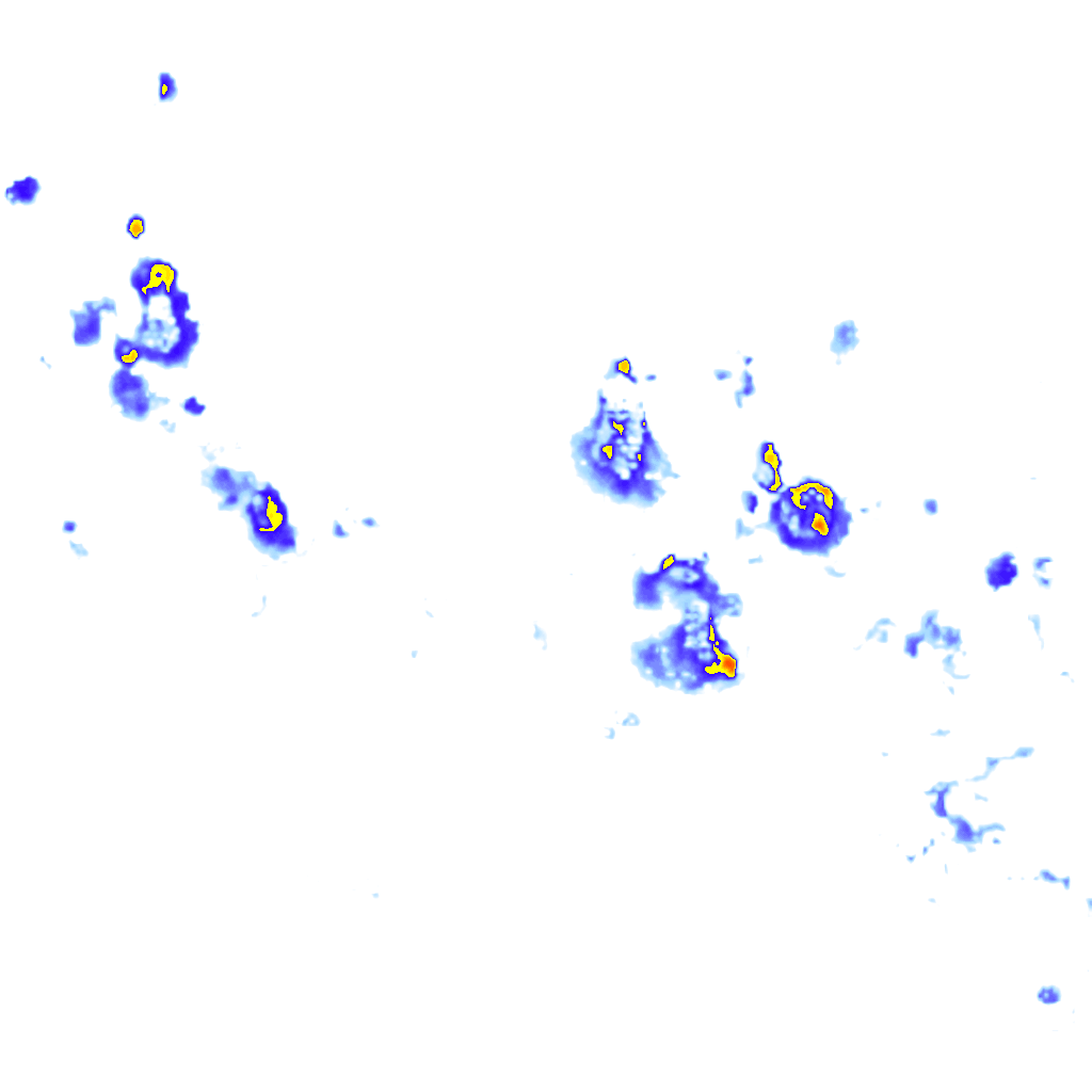 rainLayer