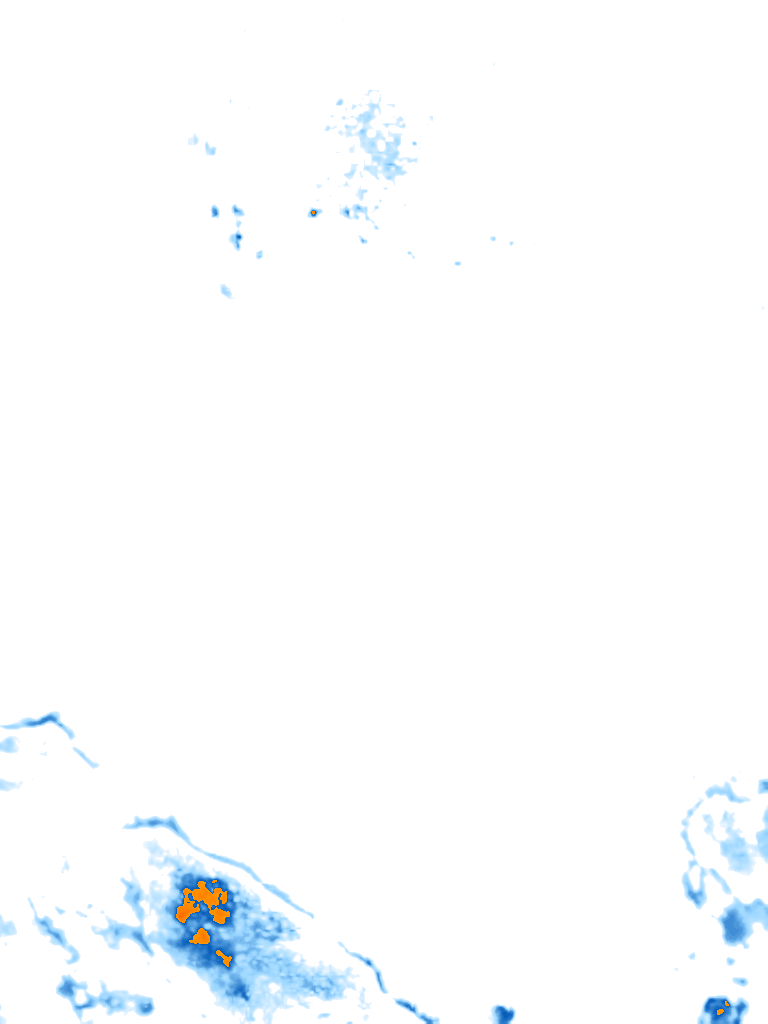 rain layer