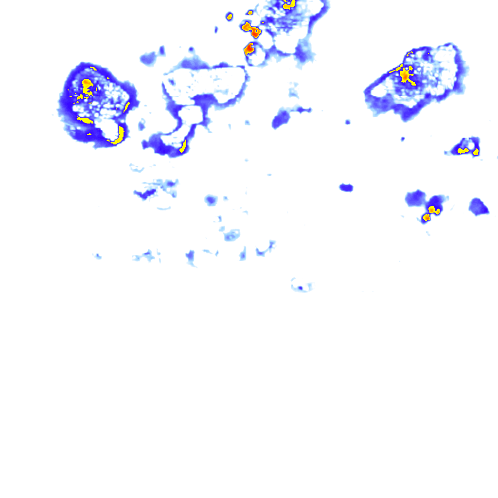 Image Layer