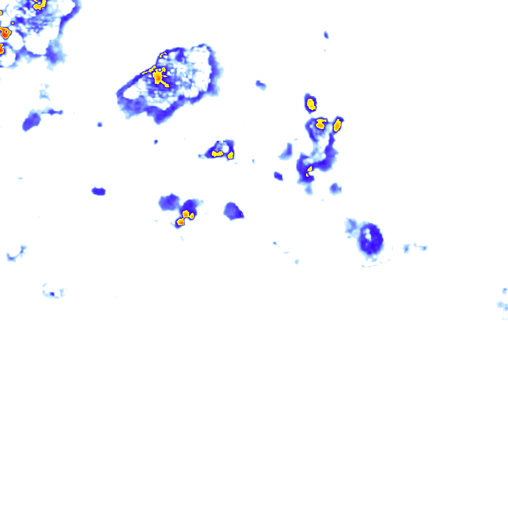 Image Layer