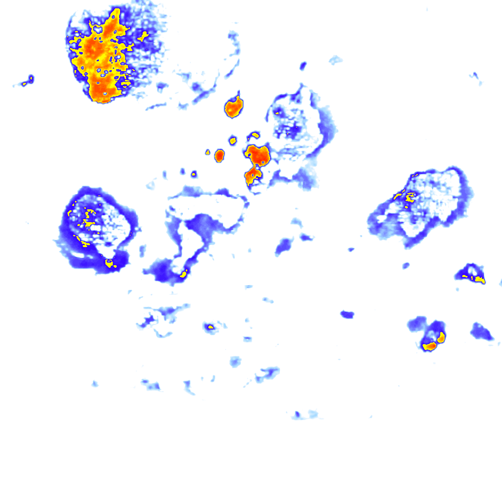 Image Layer