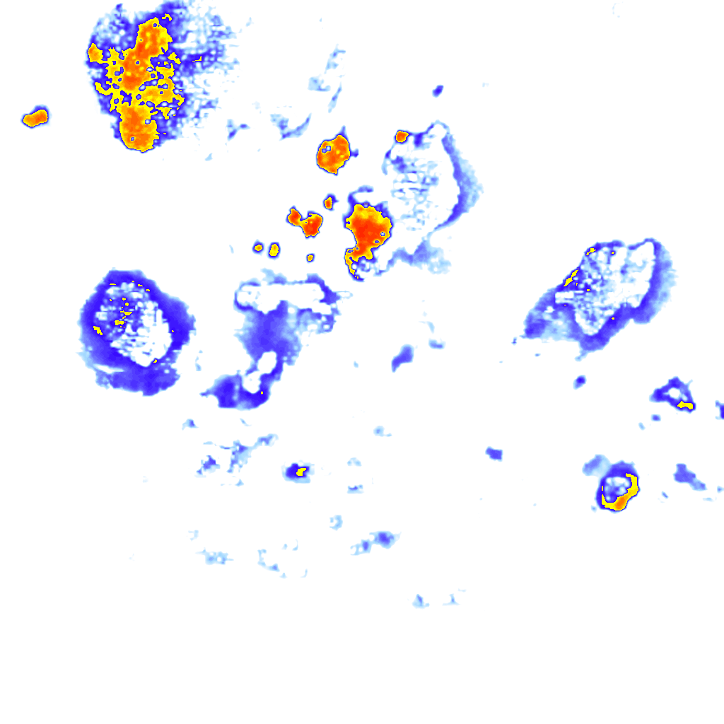 rainLayer
