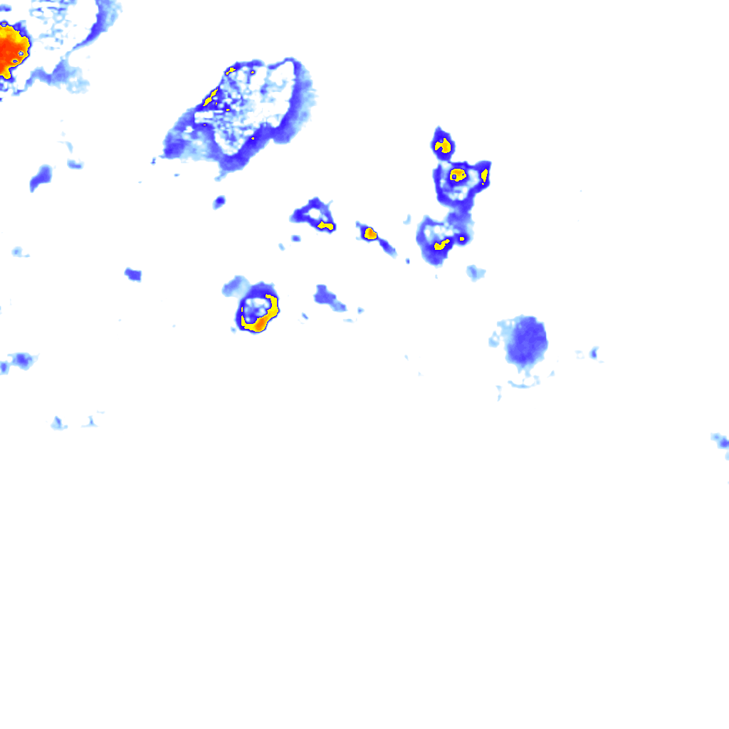 Image Layer