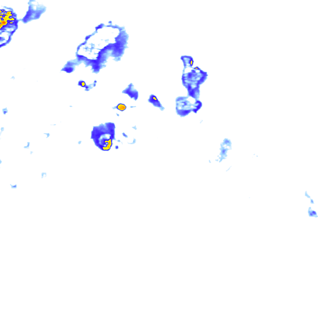 rainLayer