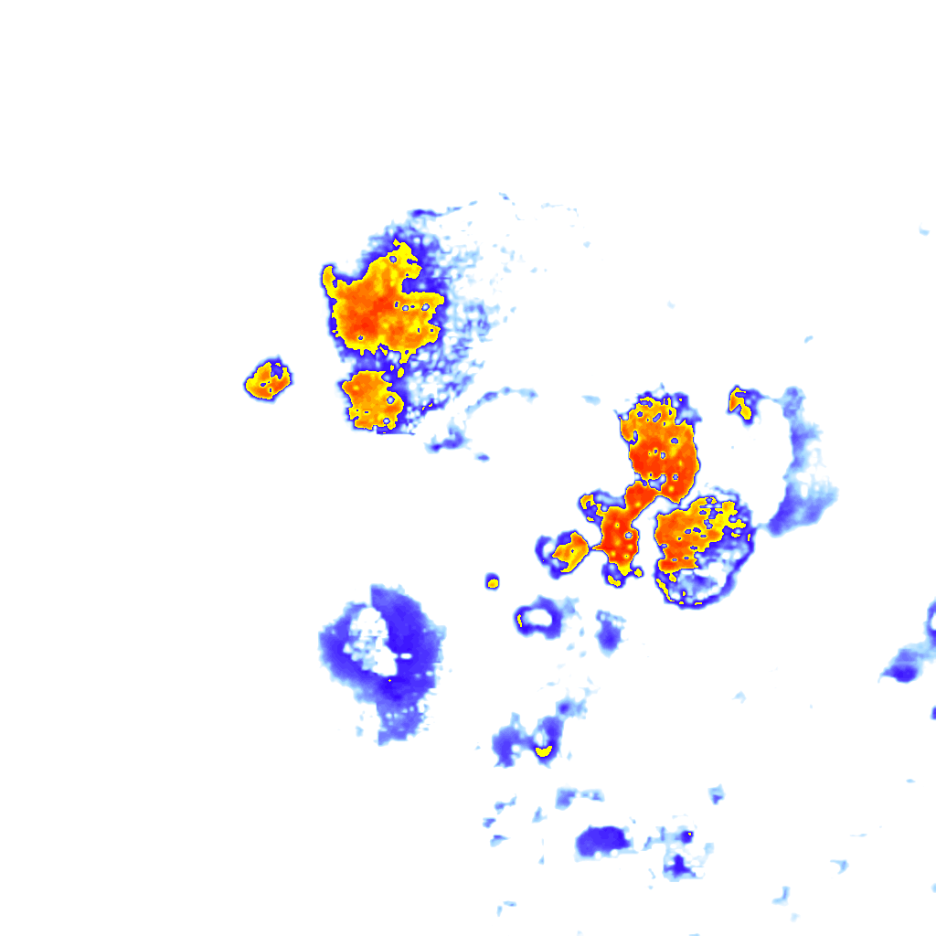 Image Layer