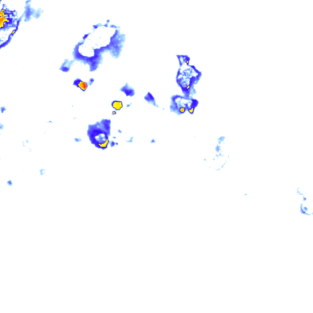 Image Layer