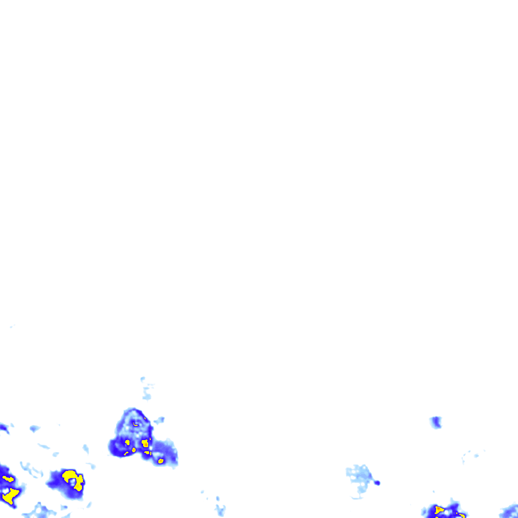 rainLayer