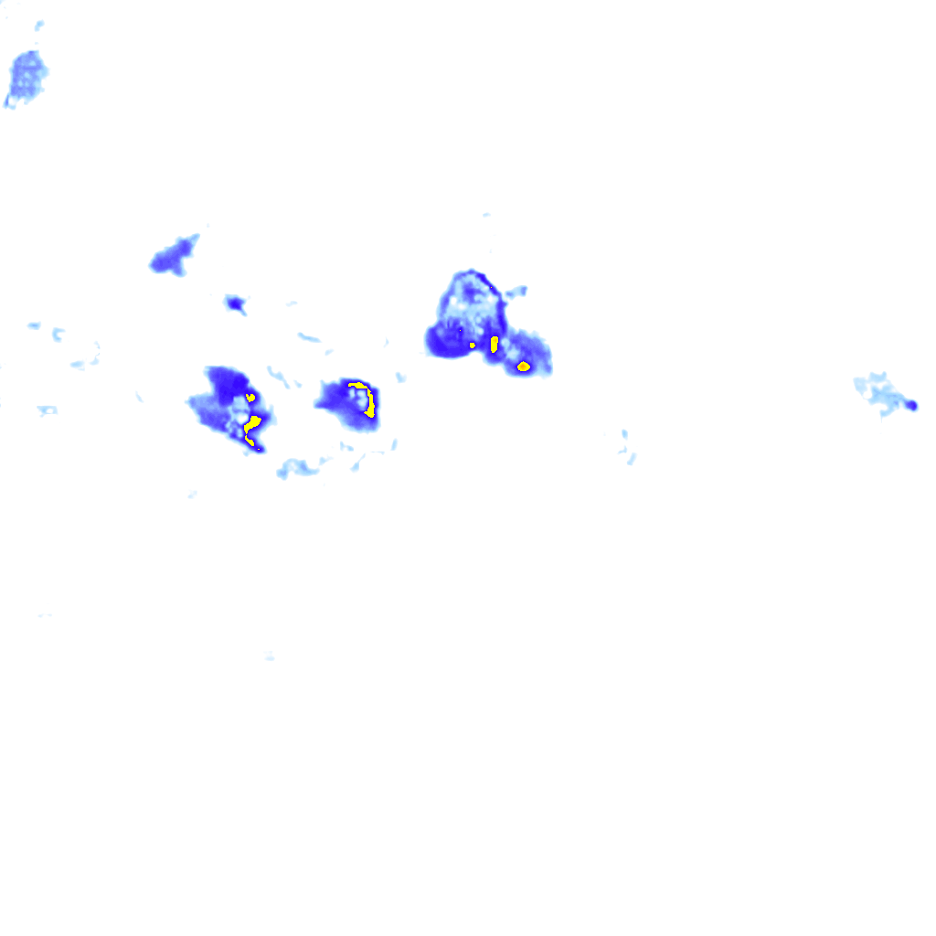 Image Layer