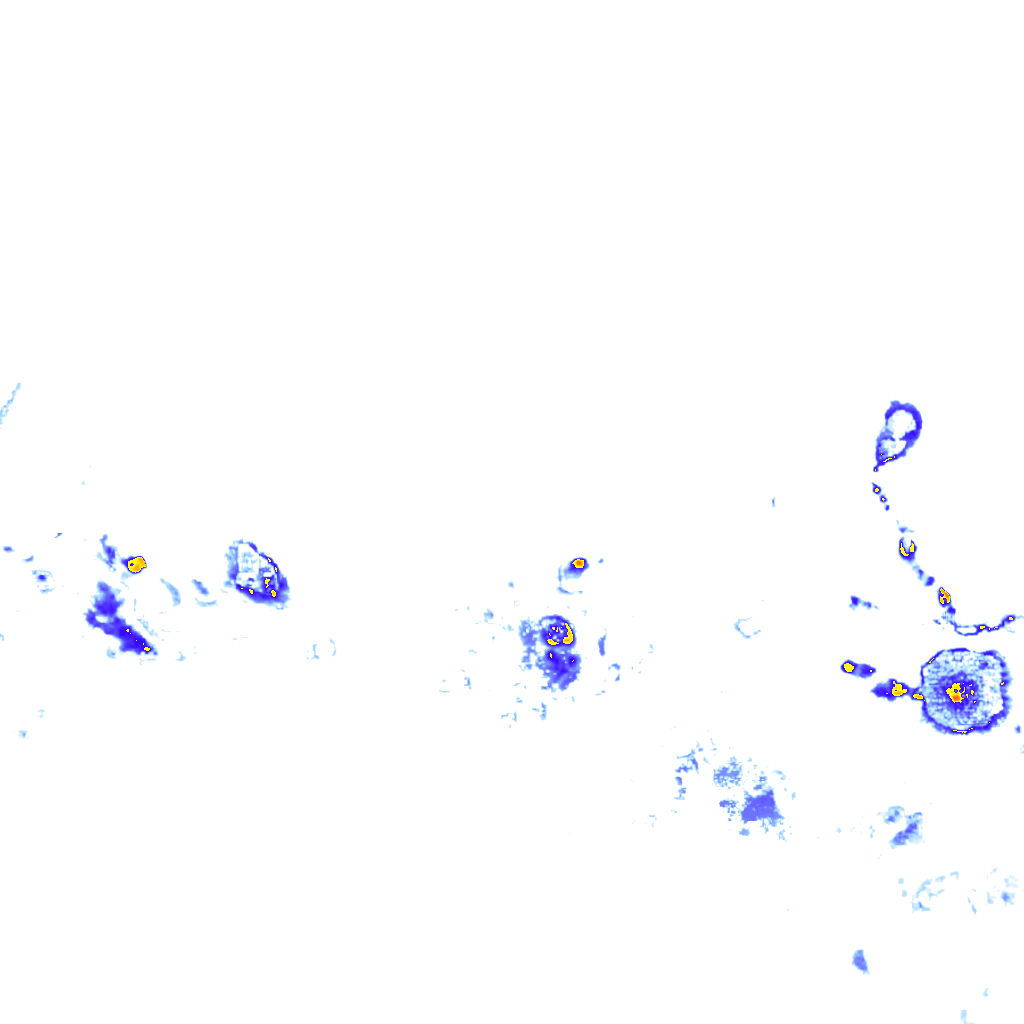 Image Layer