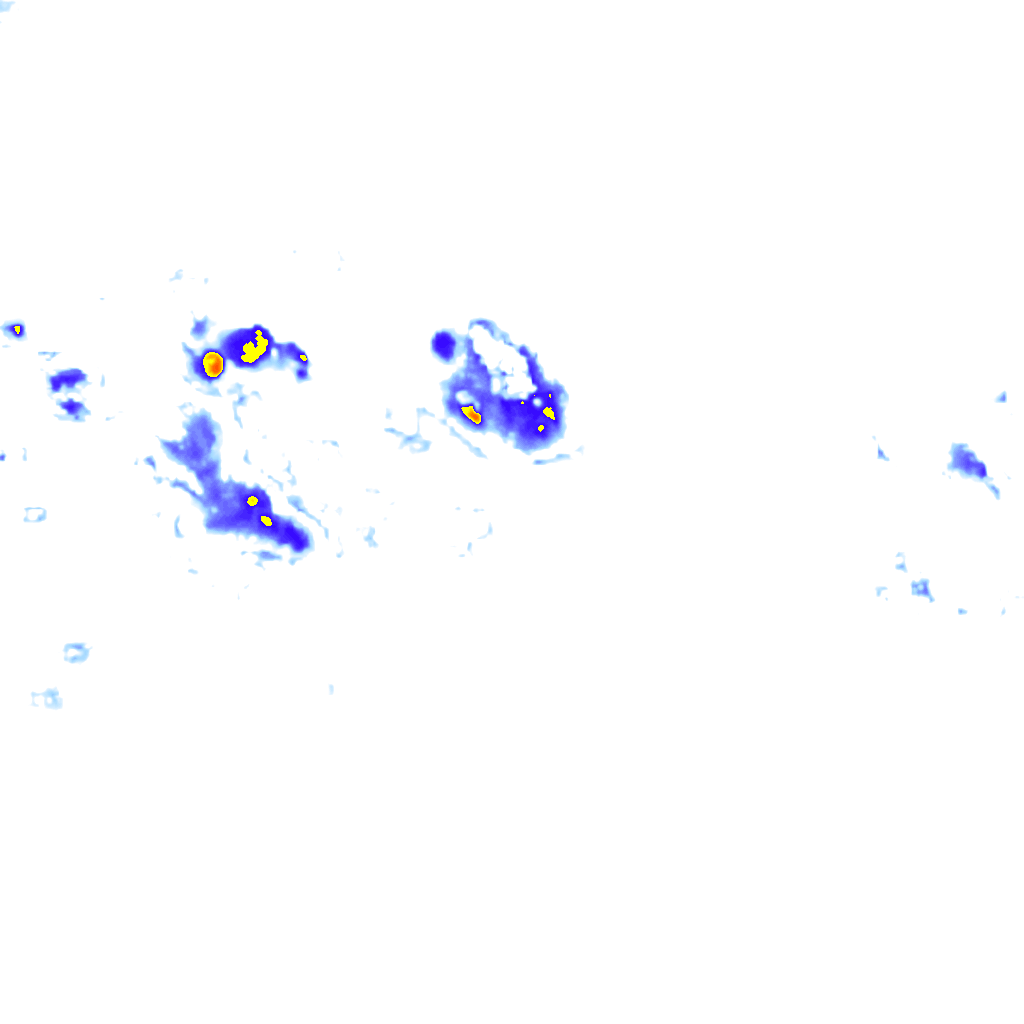 Image Layer