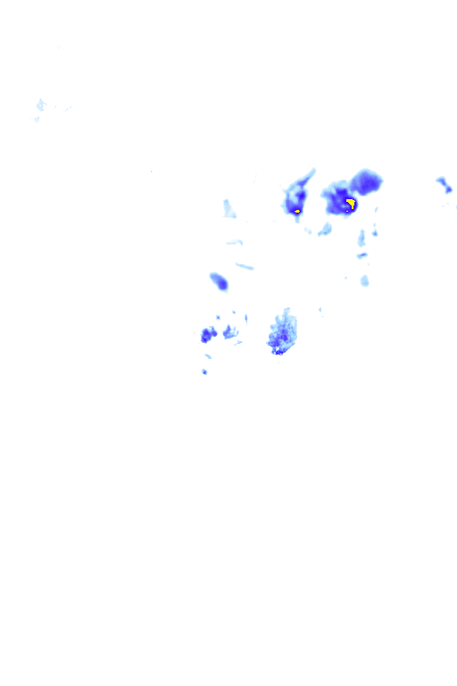 rainLayer