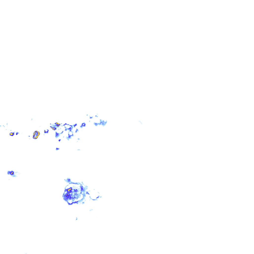 rainLayer