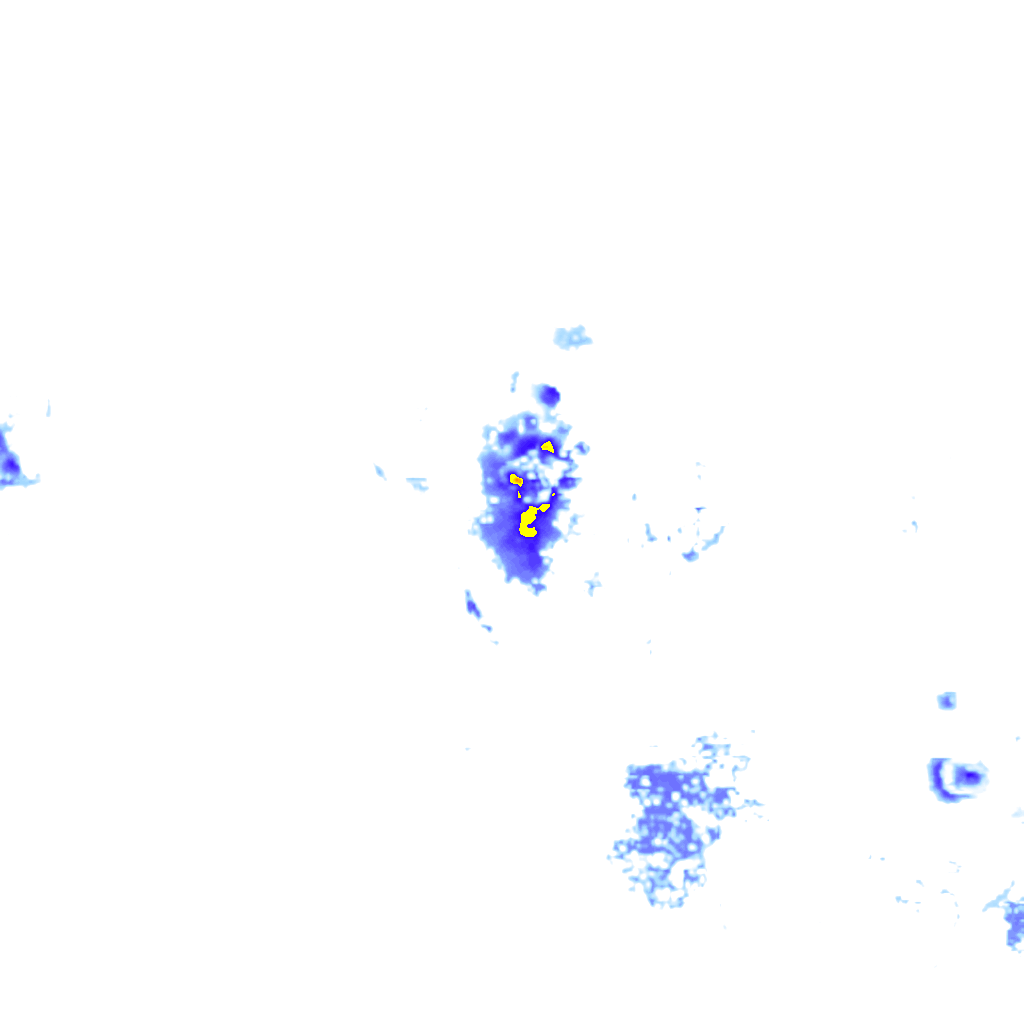 rainLayer