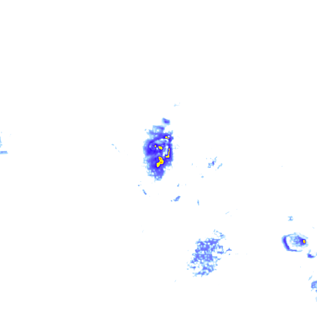 rainLayer