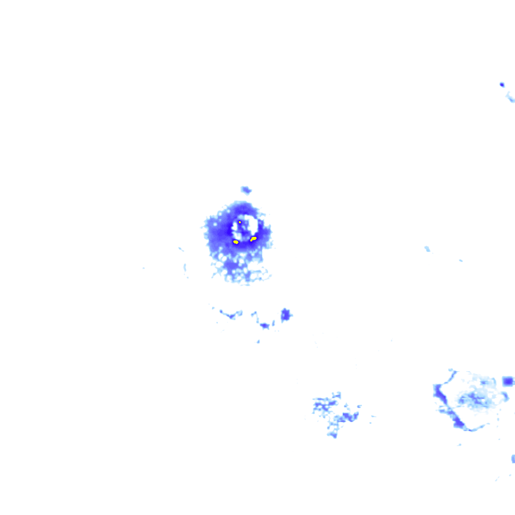Image Layer