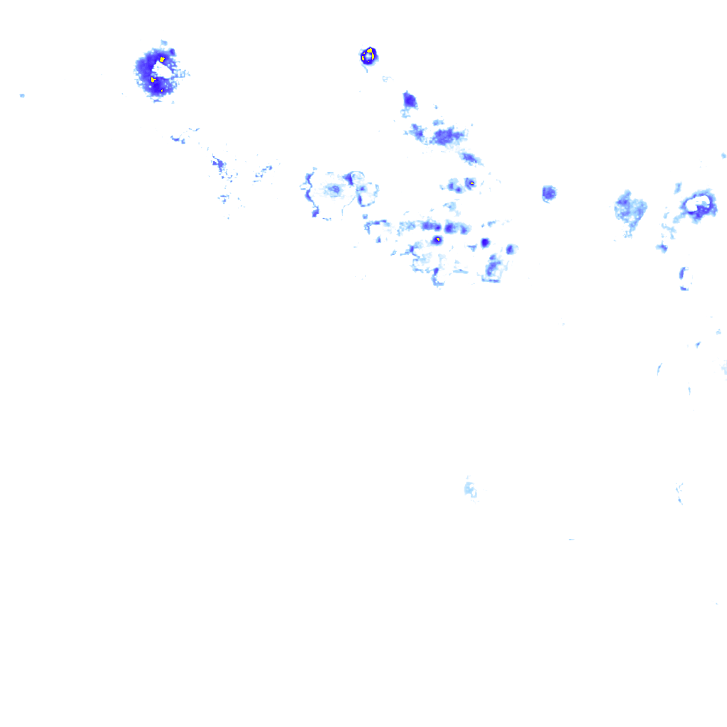 rainLayer