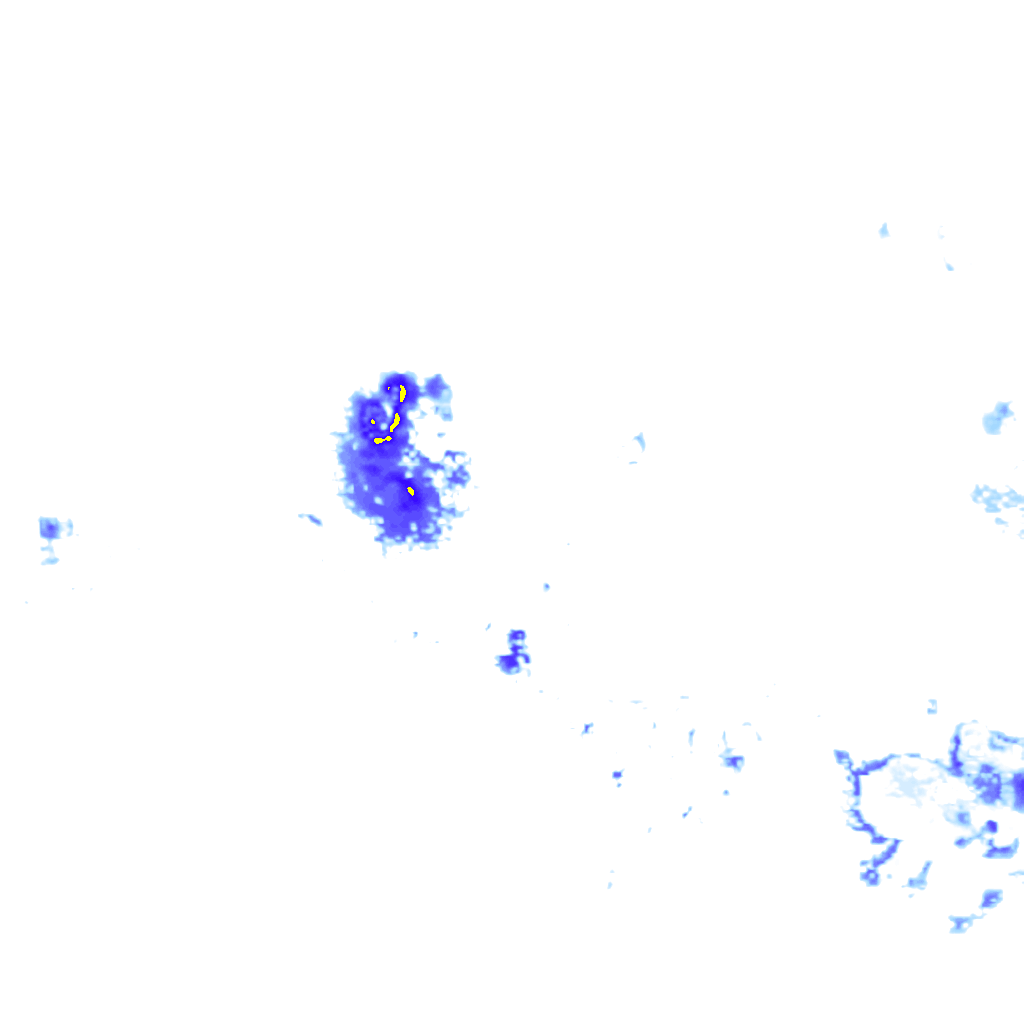 rainLayer