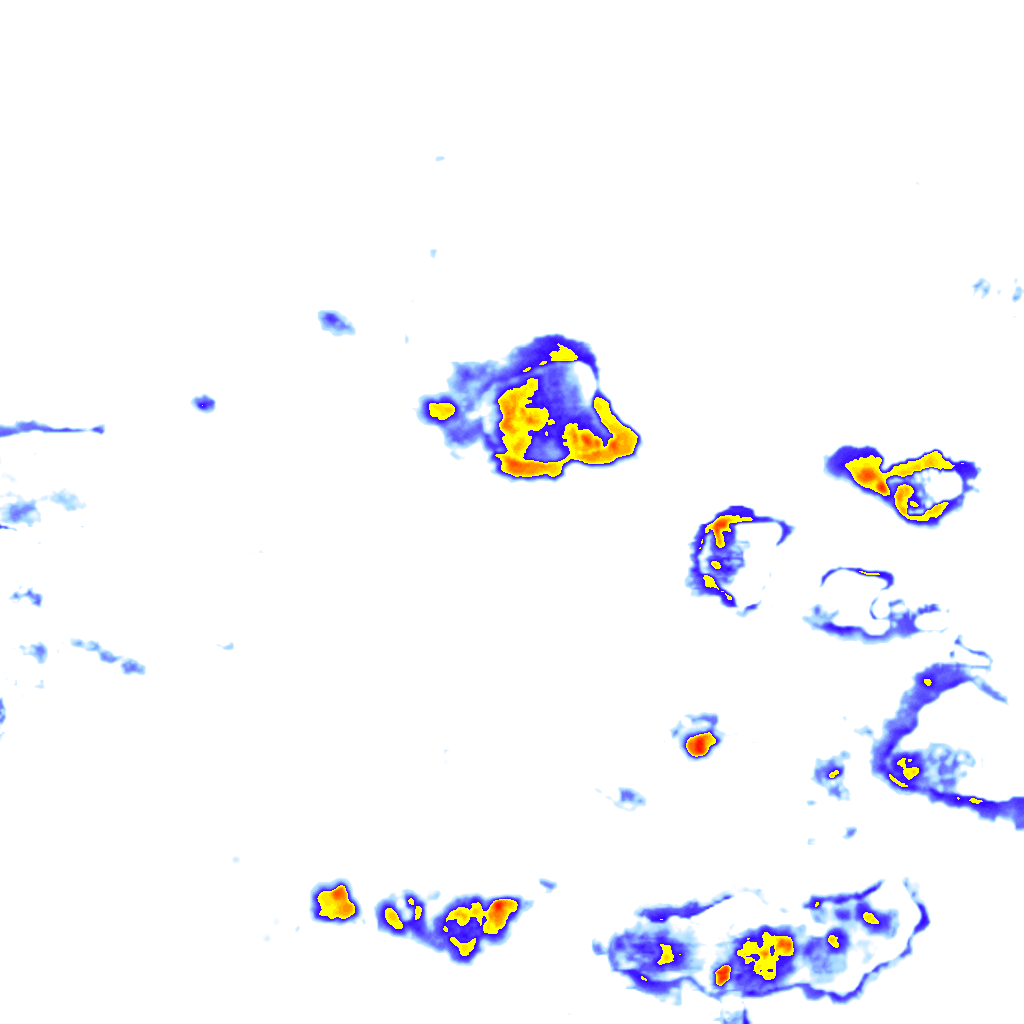 rainLayer