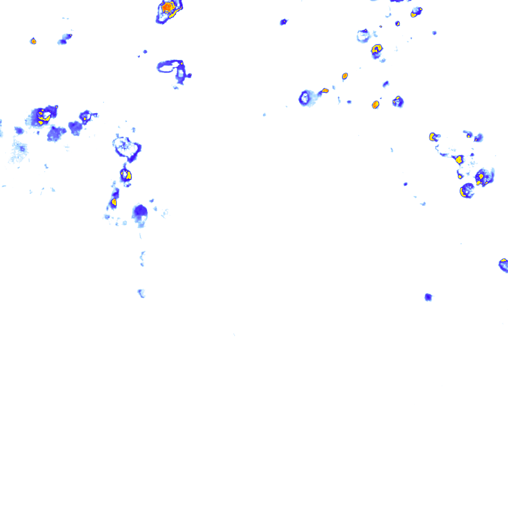 rainLayer