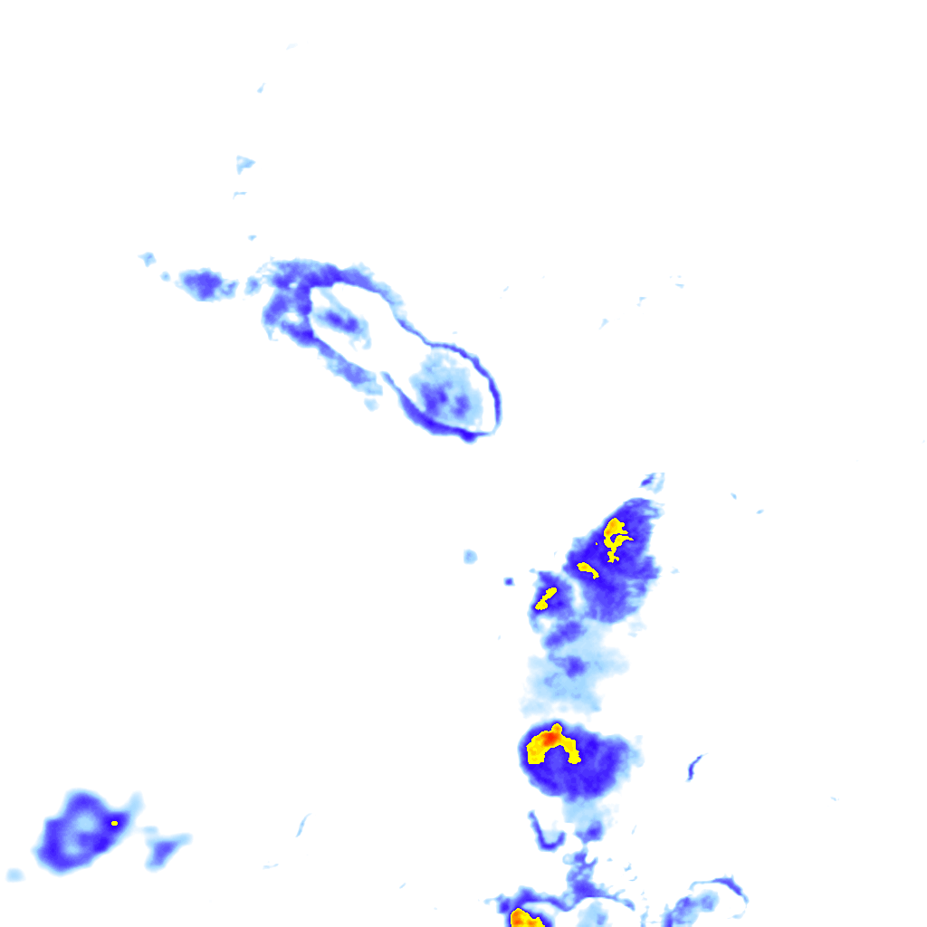 Image Layer