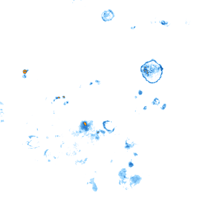 rain layer