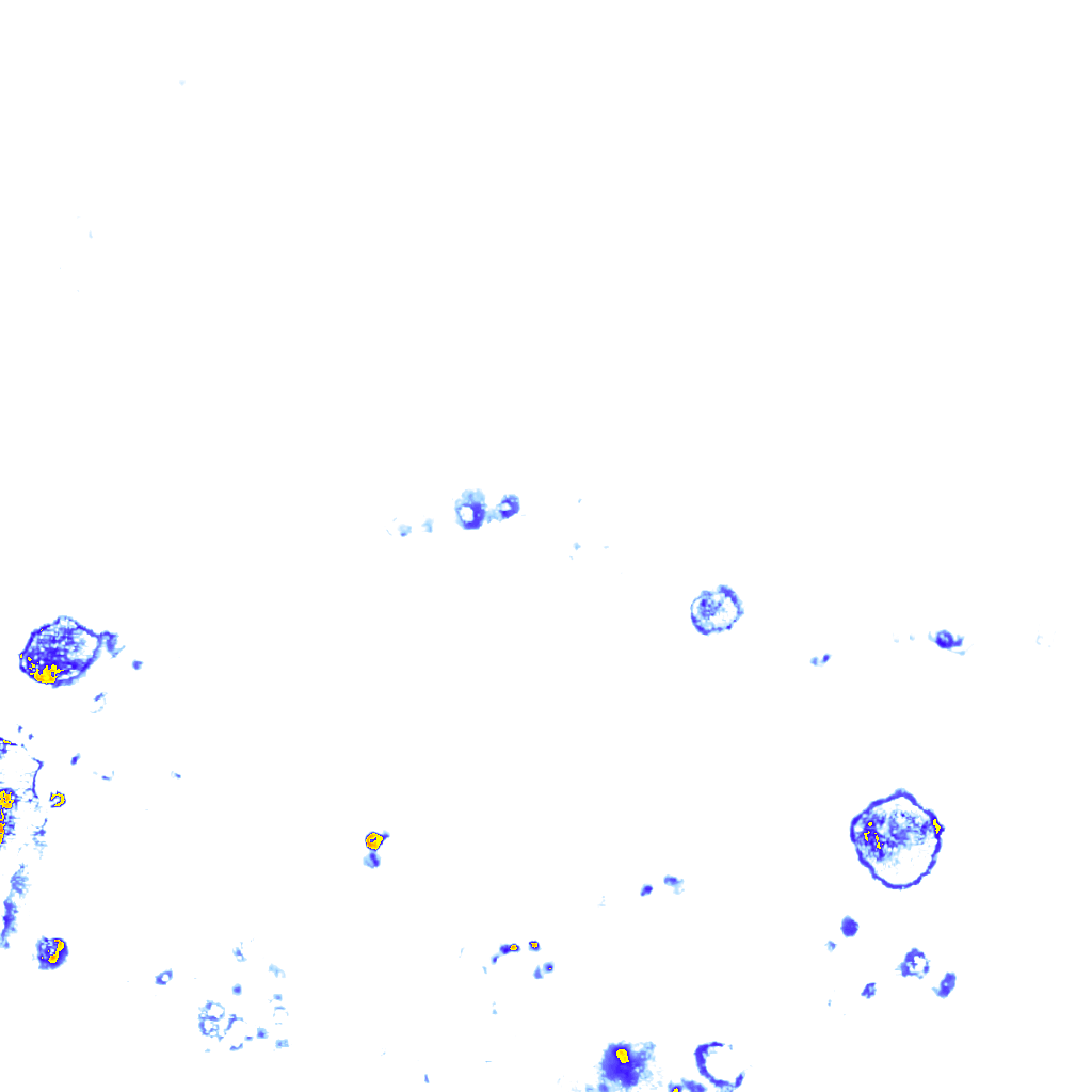 Image Layer