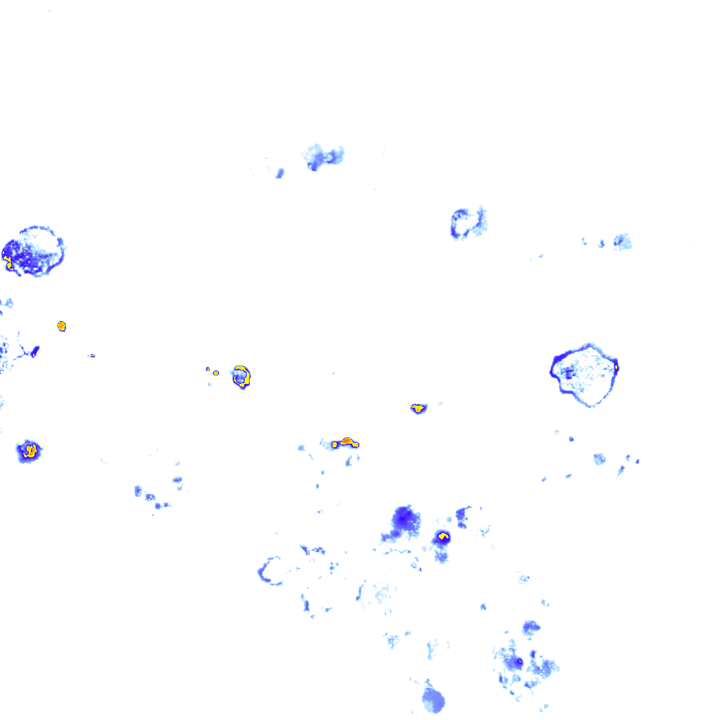 Image Layer