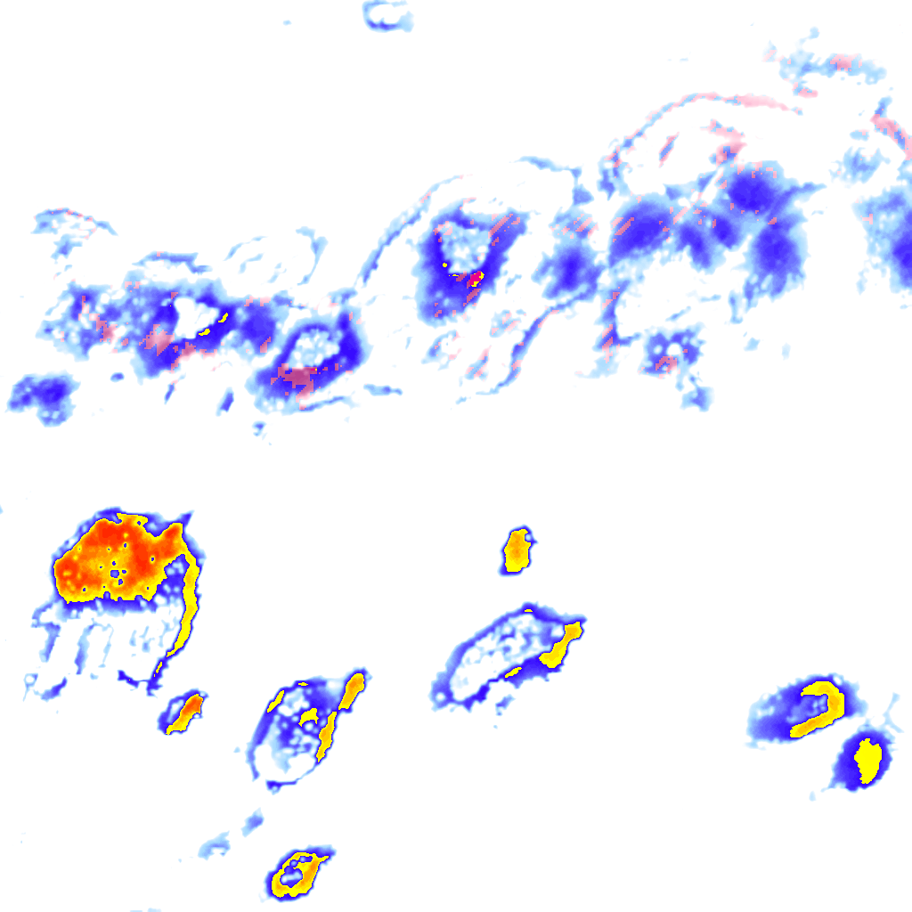 Image Layer