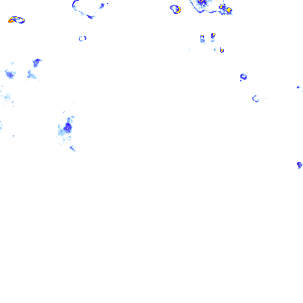 rainLayer