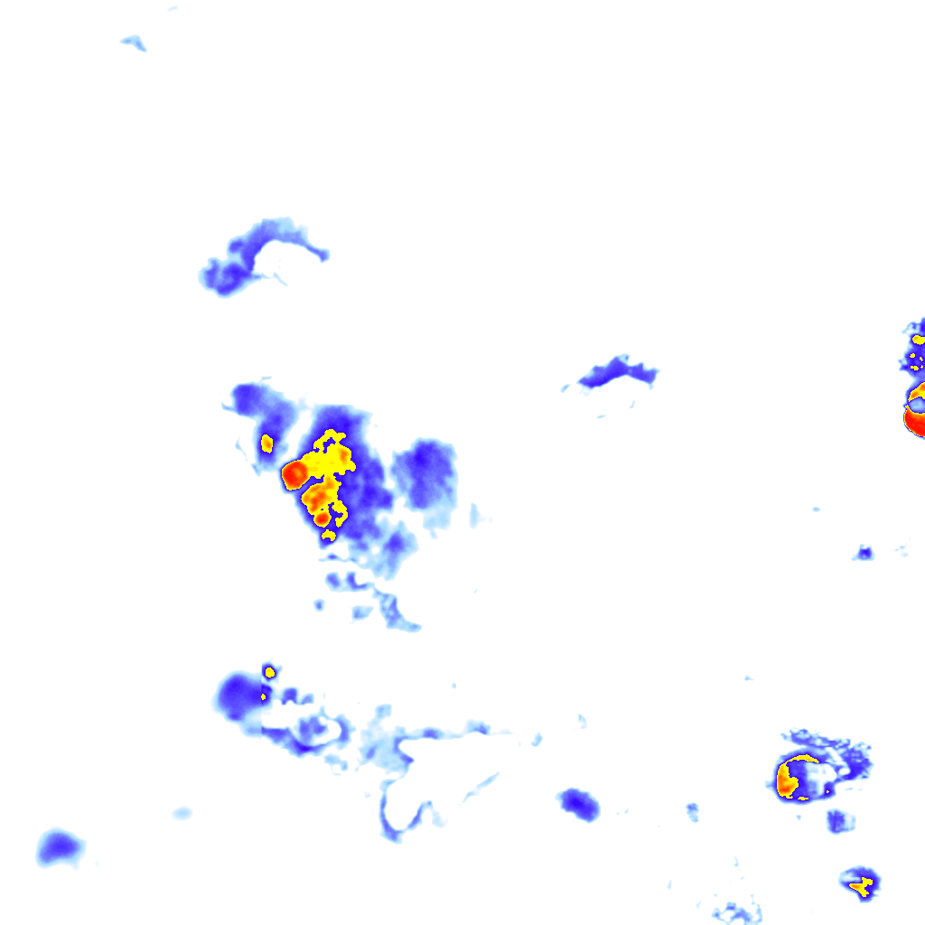 rainLayer