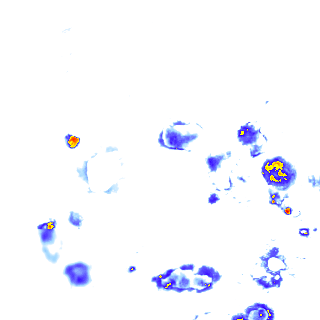 Image Layer